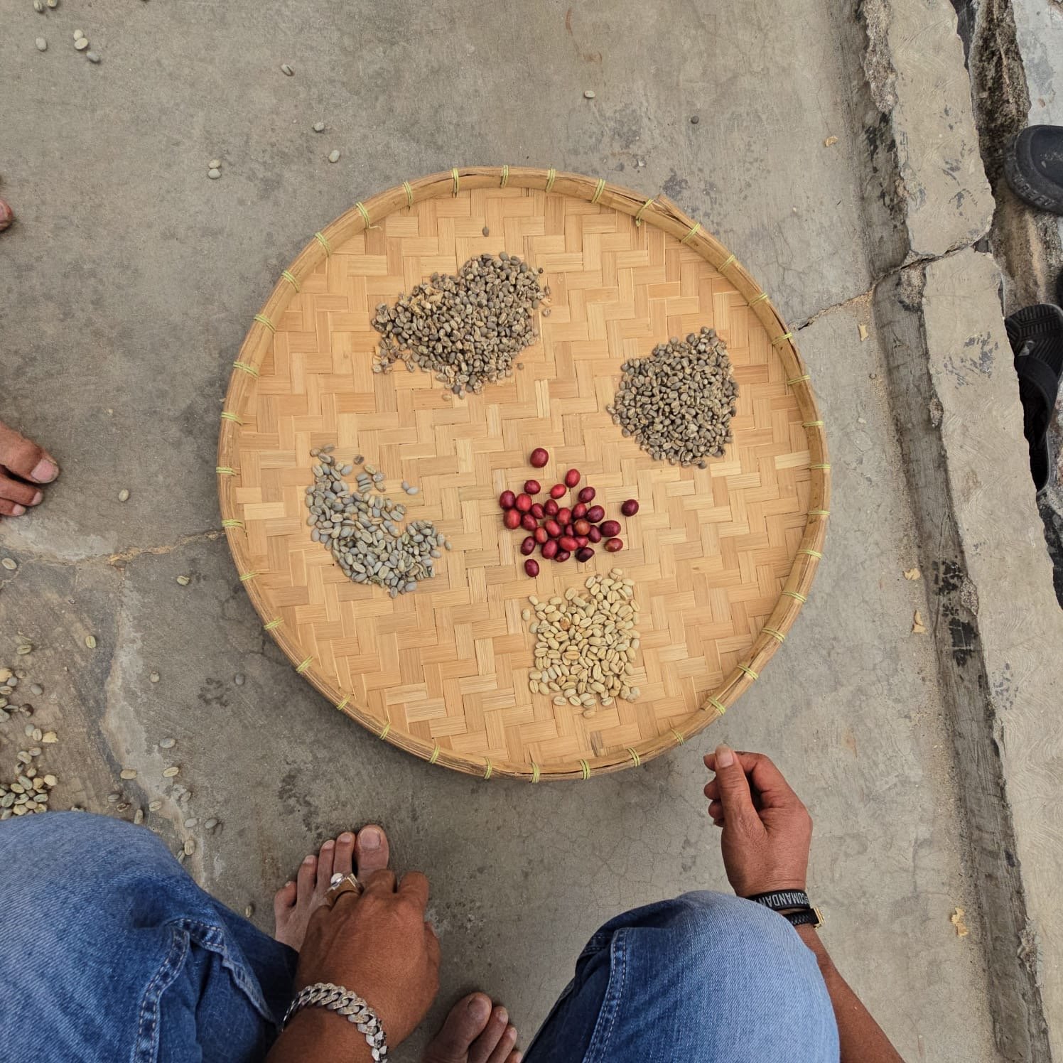 Visit from Japan and America 🇯🇵🇺🇸