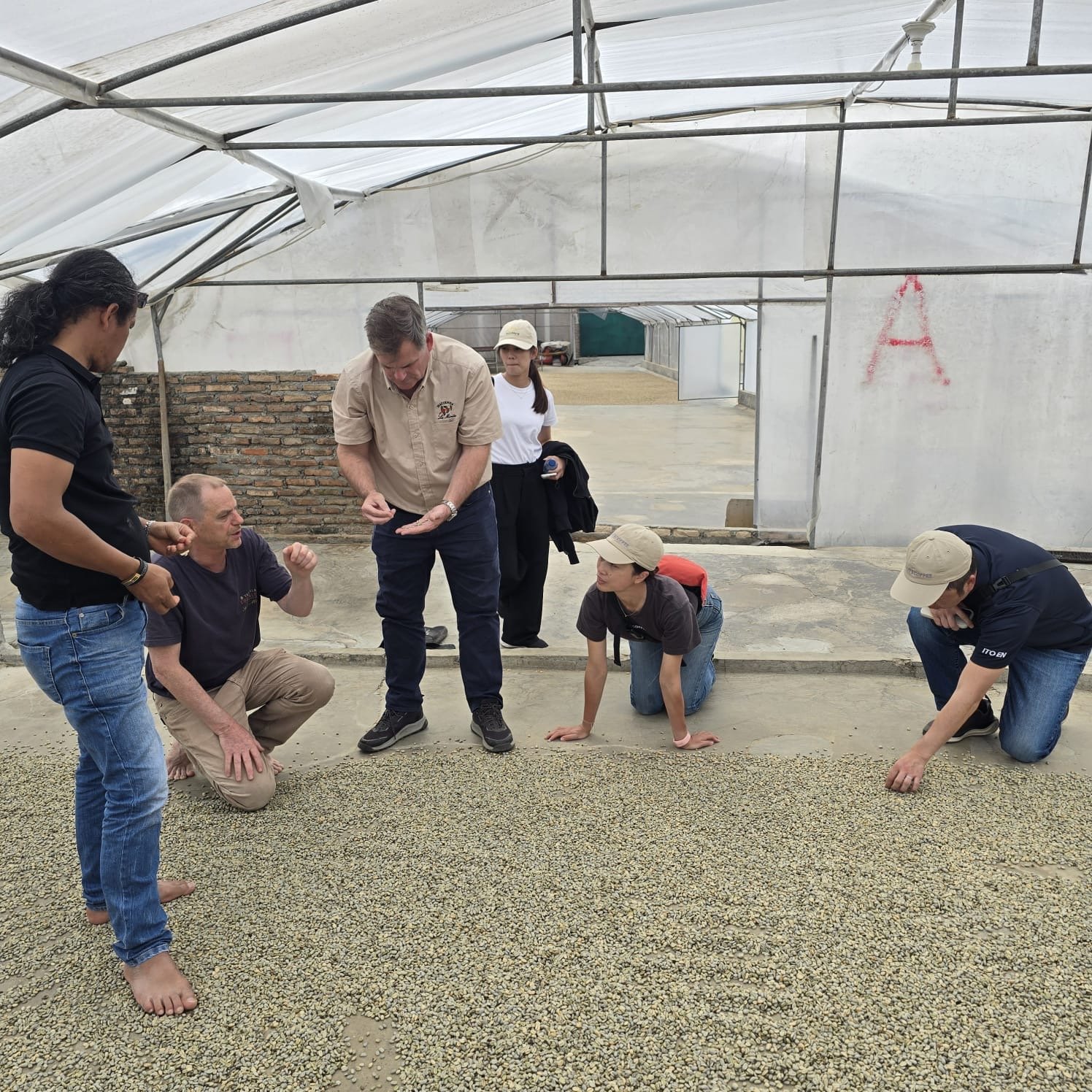 Visit from Japan and America 🇯🇵🇺🇸