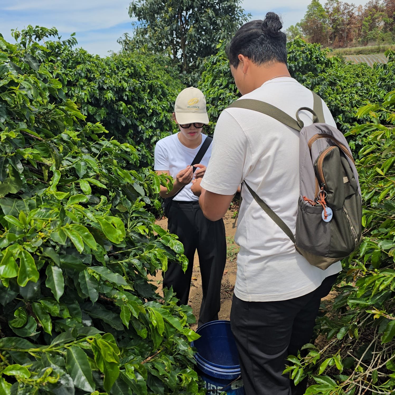 Visit from Japan and America 🇯🇵🇺🇸