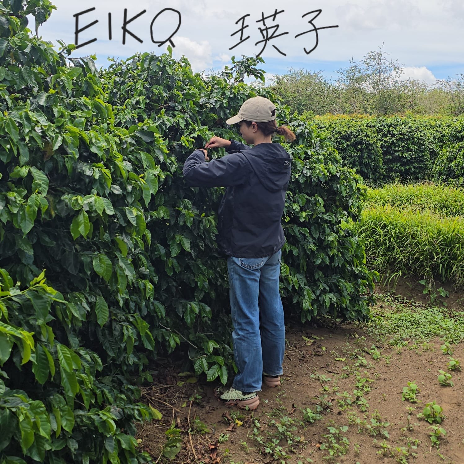 Visit from Japan and America 🇯🇵🇺🇸